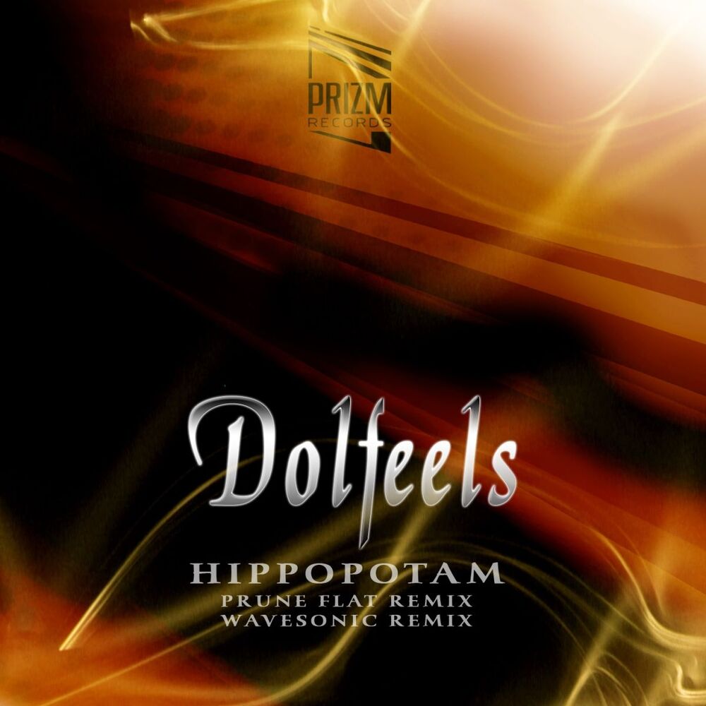 Picture of Hippopotam (Remix)