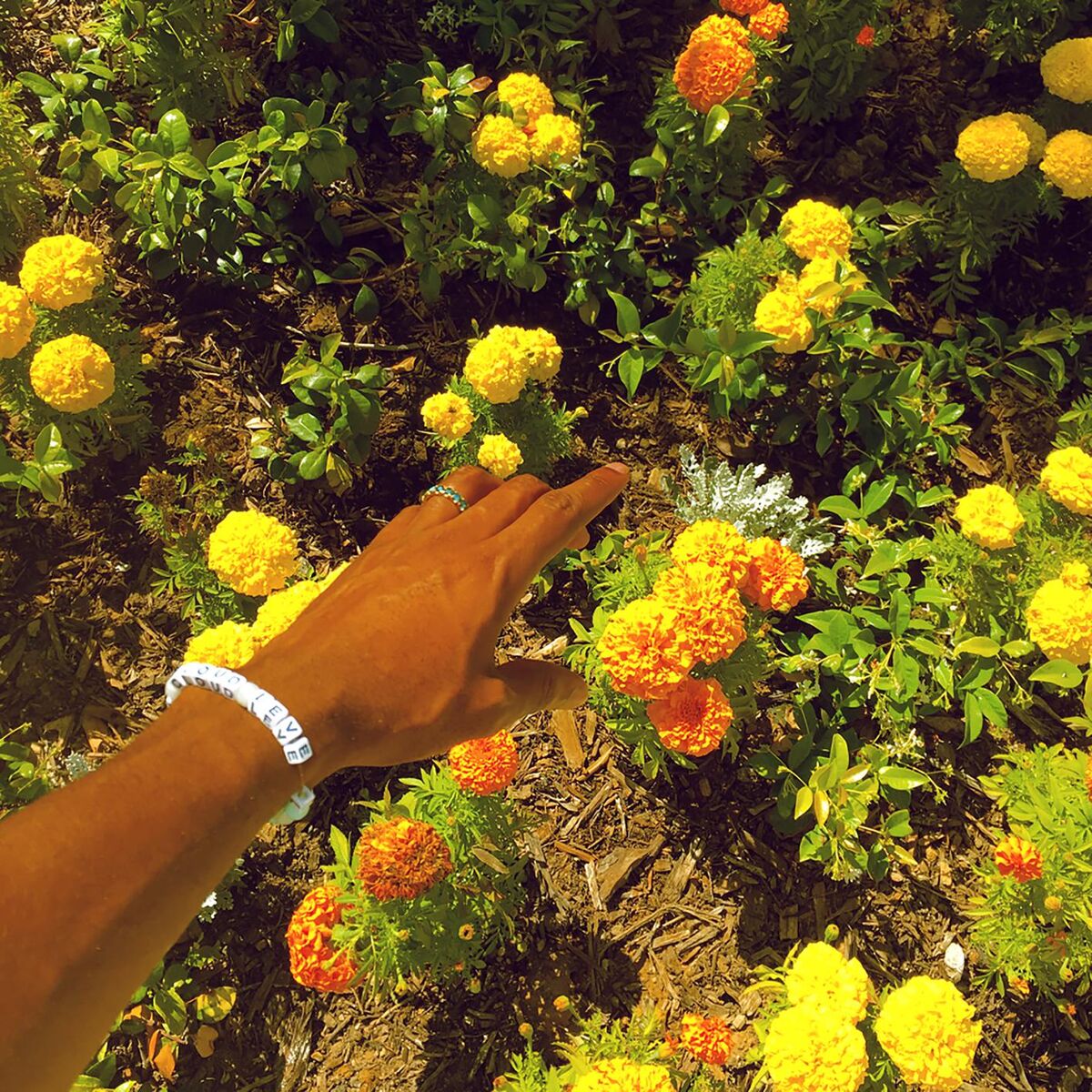 Album cover of Peach Fuzz