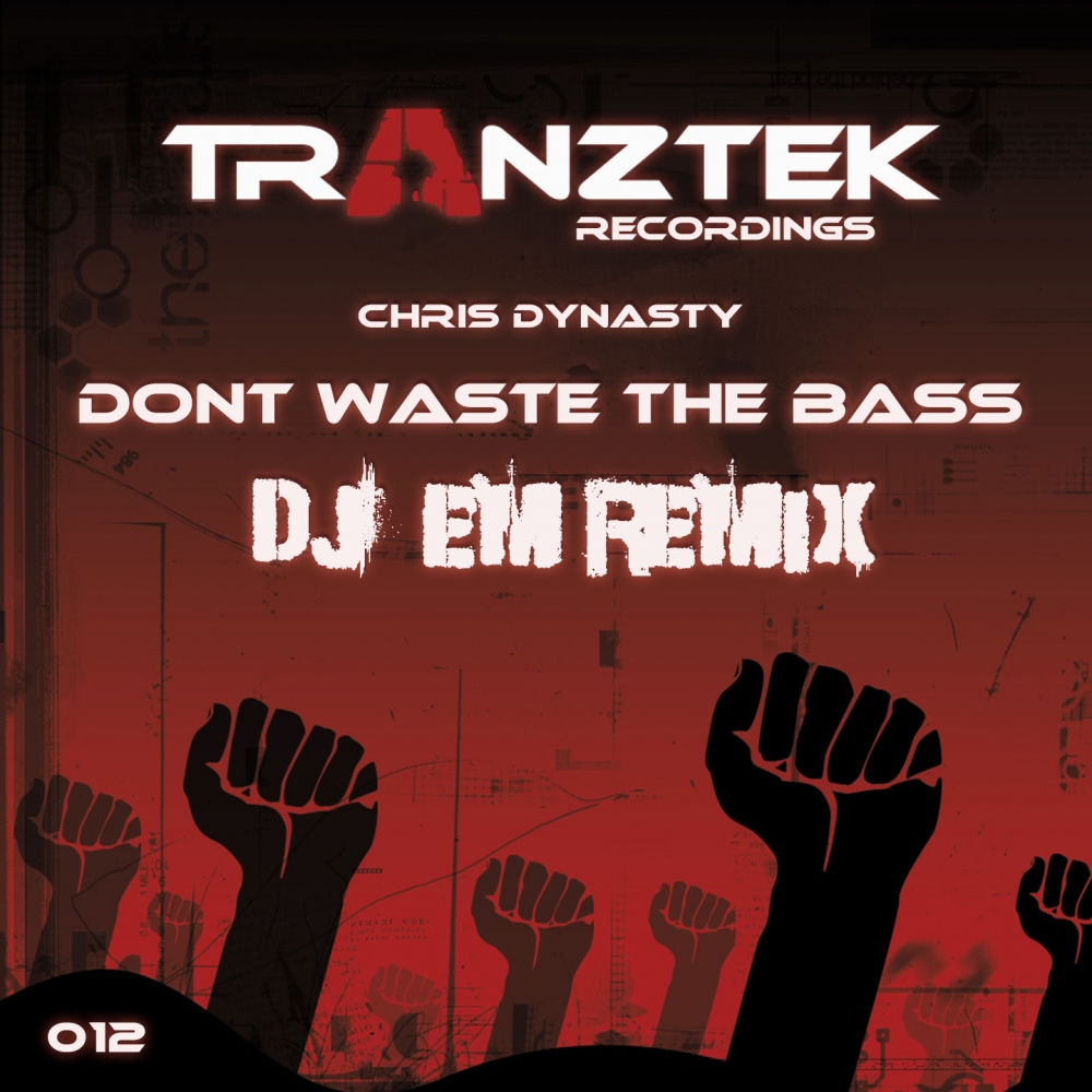 Album artwork for Don't Waste The Bass (DJ Em Remix) by Chris Dynasty
