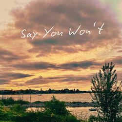 Cover of Say You Won't