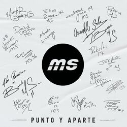 Cover of PUNTO Y APARTE