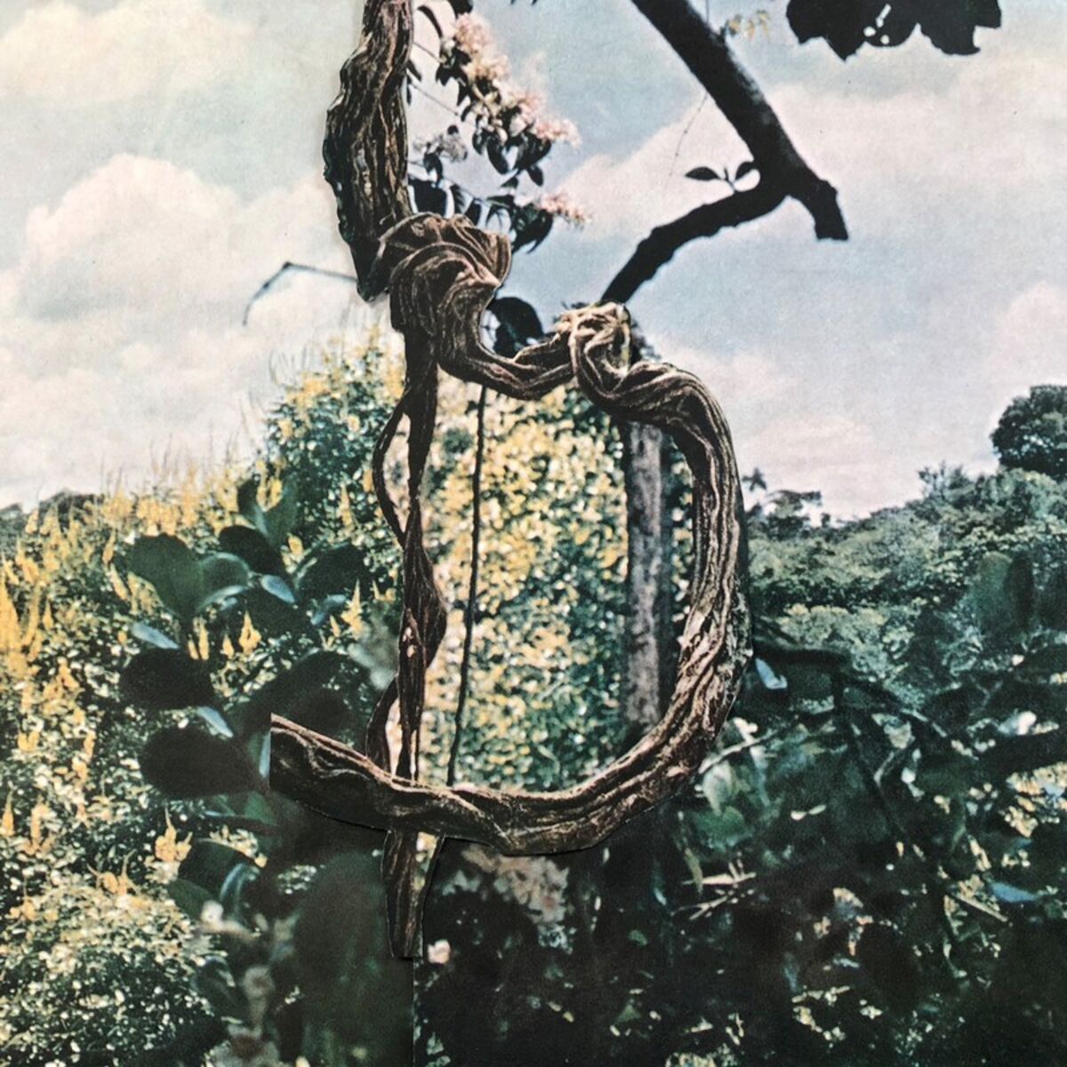 Album cover of Rights of the Idea or a Machine