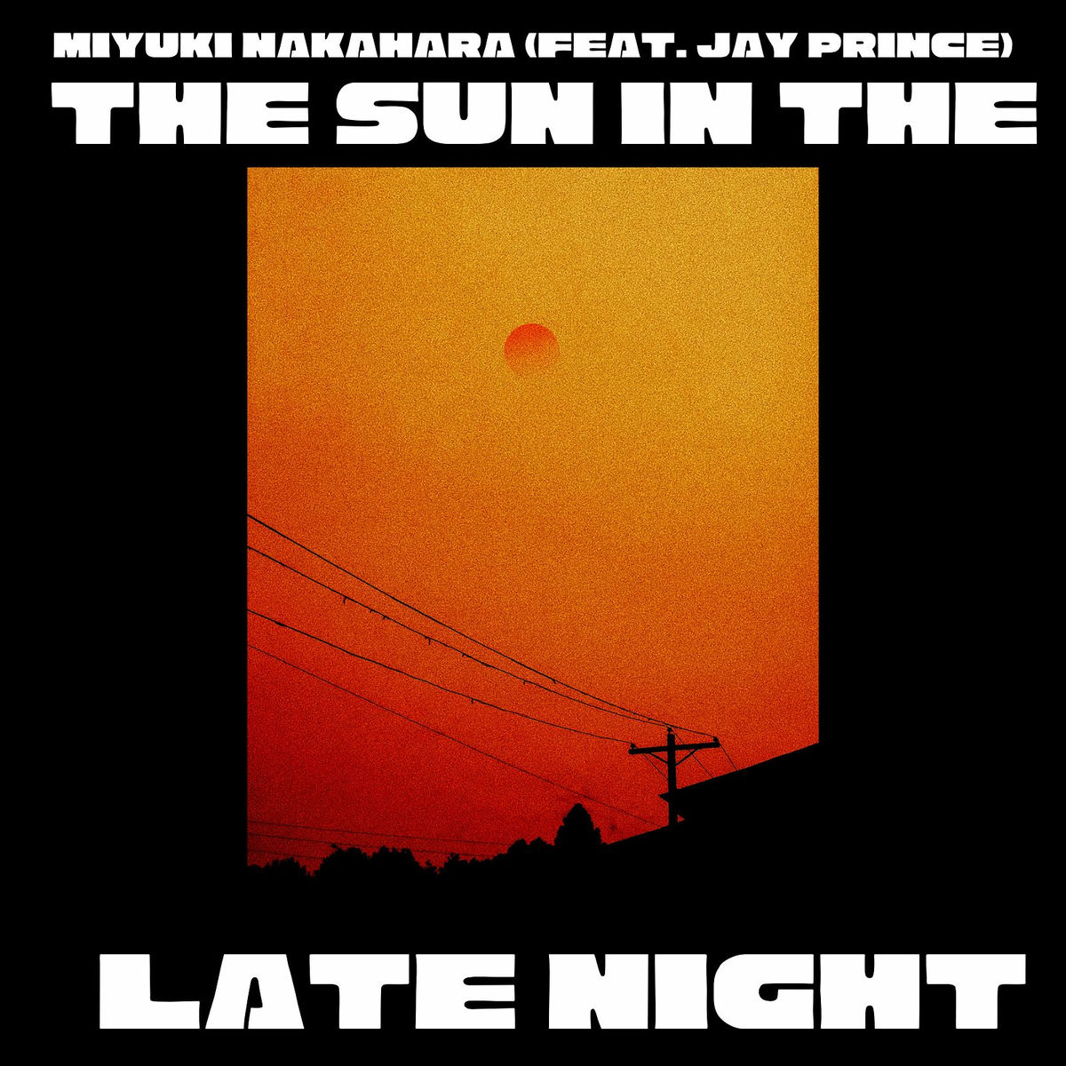 Album cover of The Sun in the Late Night