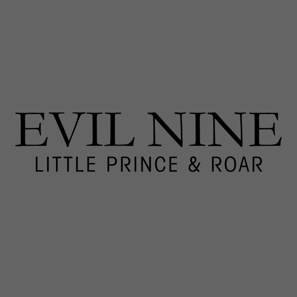 Picture of Little Prince & Roar