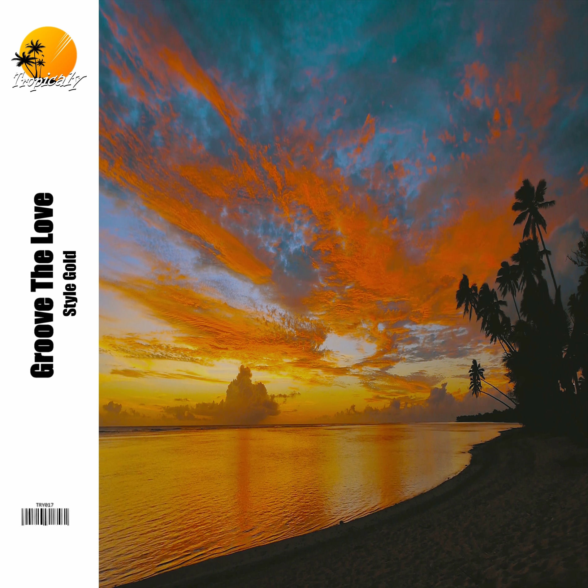 Album cover of Groove the Love