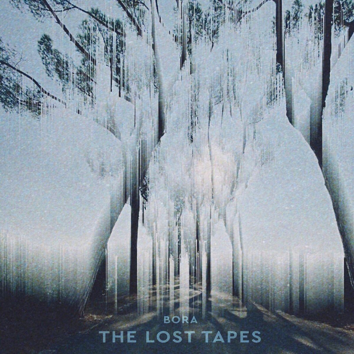 Album cover of The Lost Tapes