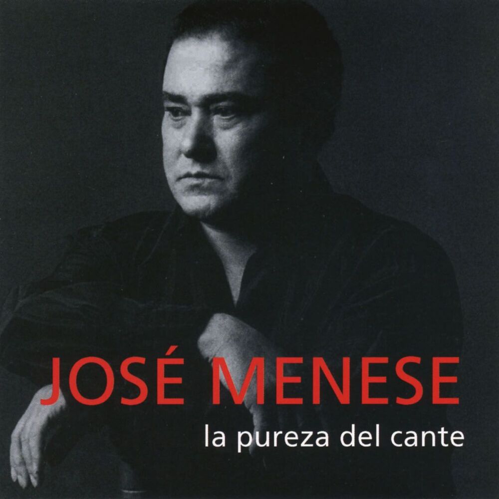 Picture of La pureza del cante