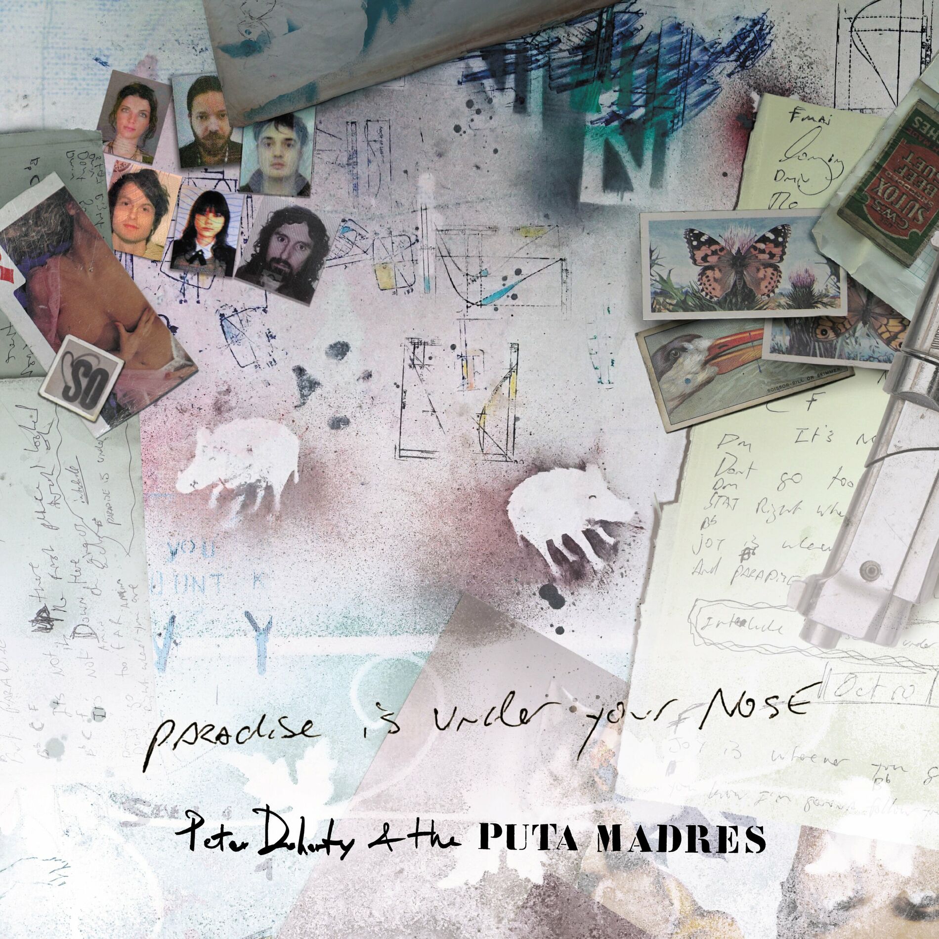 Album cover of Paradise Is Under Your Nose (Radio Edit)