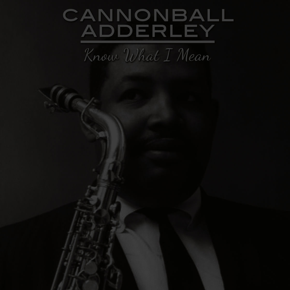Album cover of Know What I Mean