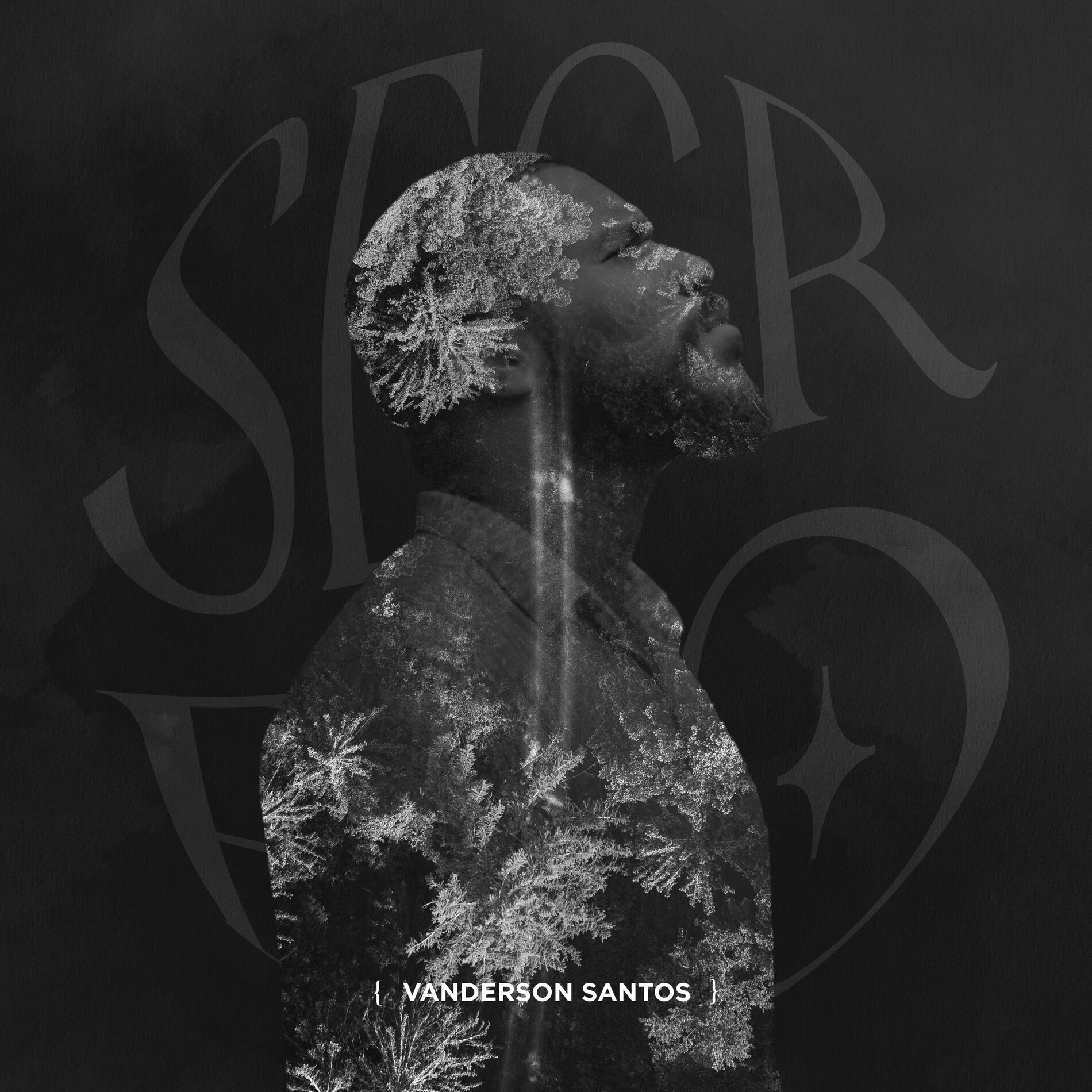 Album cover of Secreto