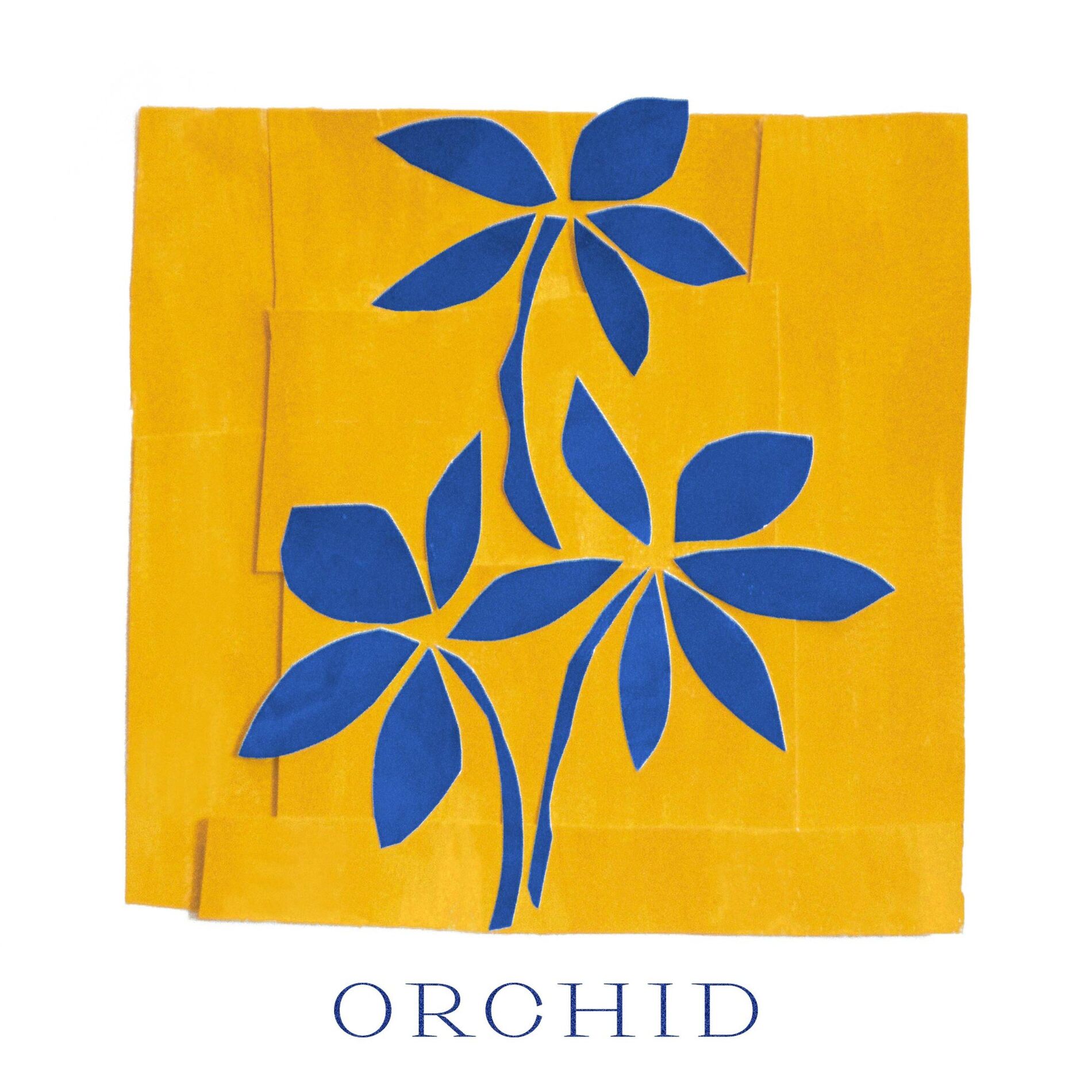 Album cover of Orchid