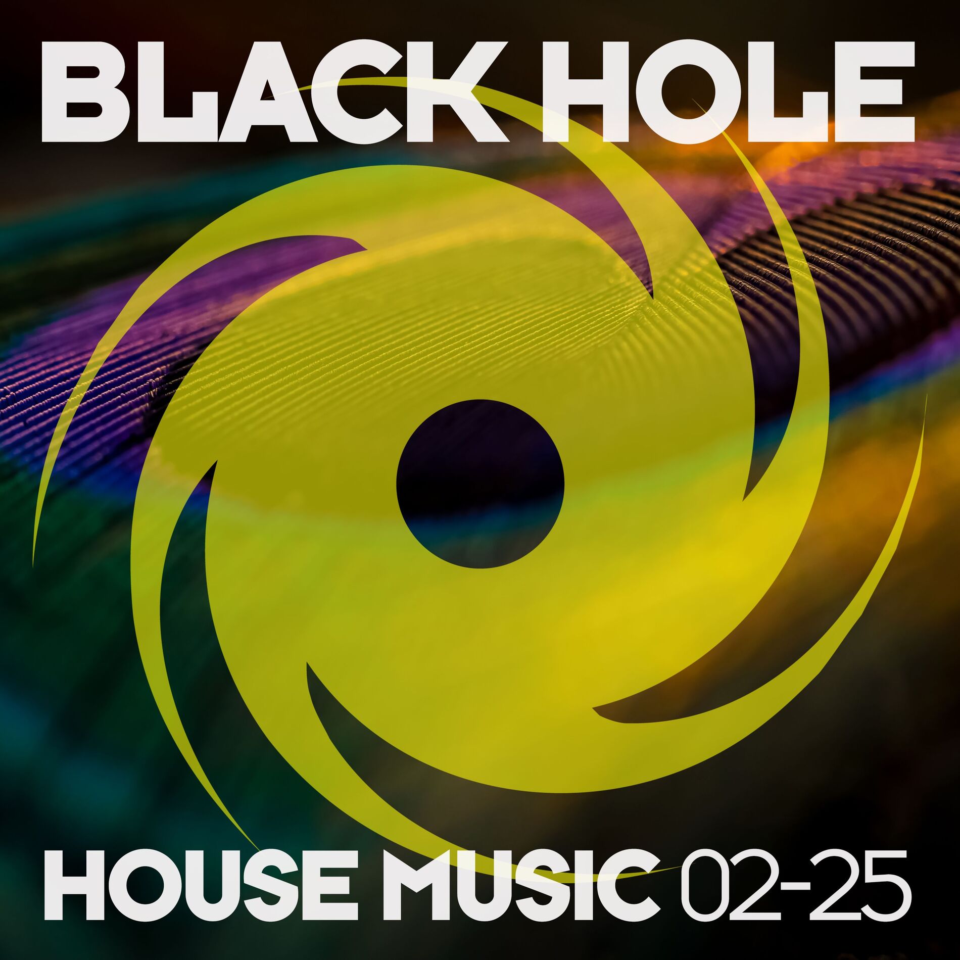 Album cover of Black Hole House Music 02-25
