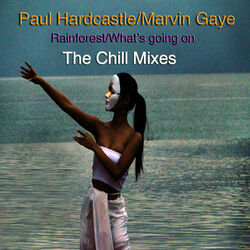Cover of Rainforest/What's Going On (The Chill Mixes)