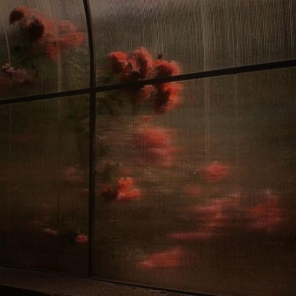 Picture of Rose-Tinted Reverie