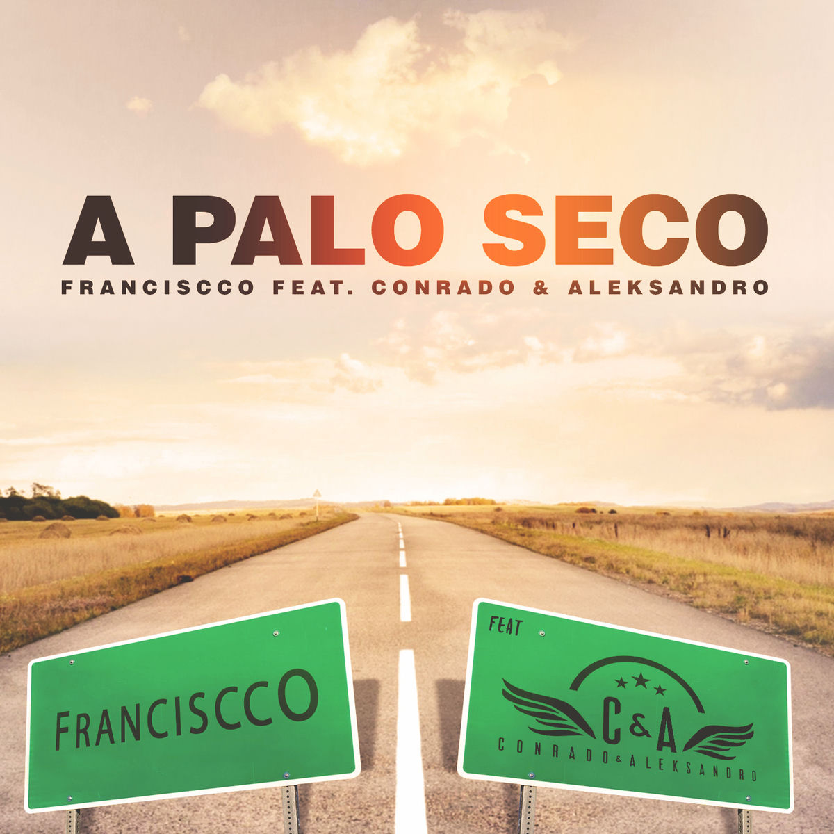 Album cover of A Palo Seco