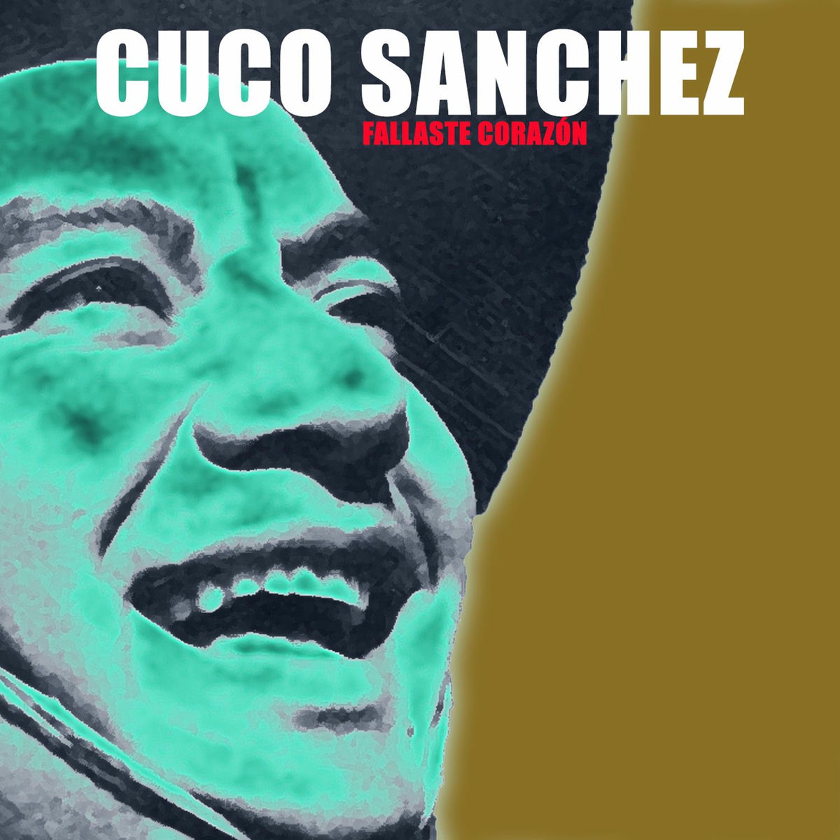 Album cover of Fallaste Corazón