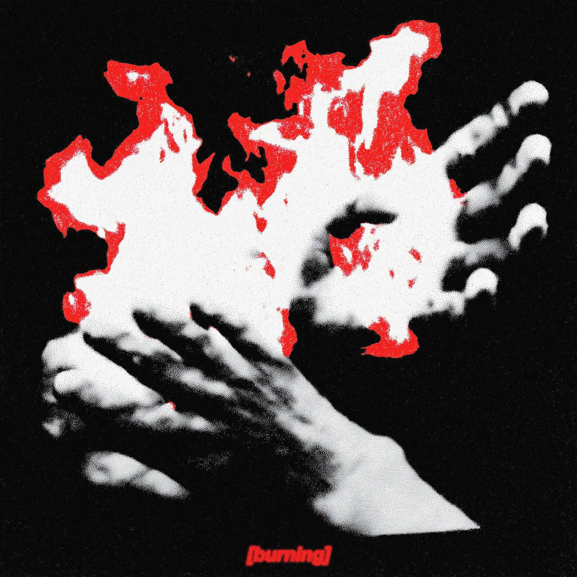 Album cover of burning