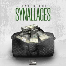 Cover of SYNALLAGES