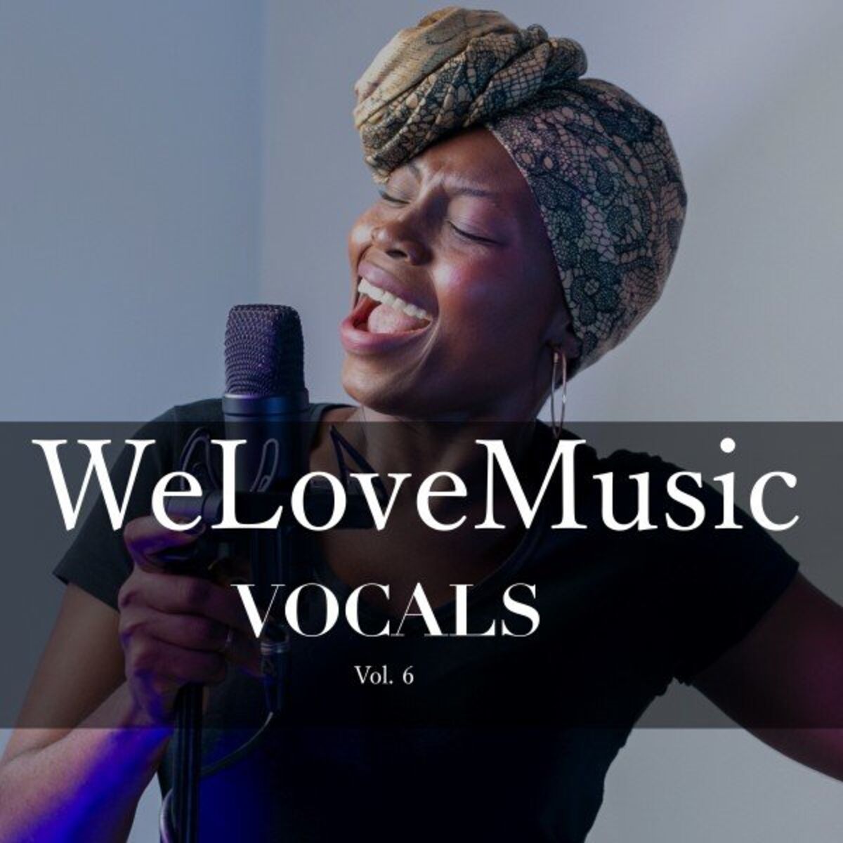 Album cover of Vocals, Vol. 6