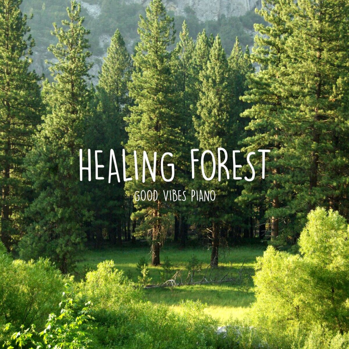 Album cover of Healing Forest (Radio Edit)