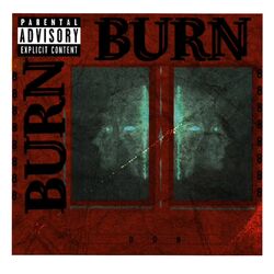 Cover of BURN.