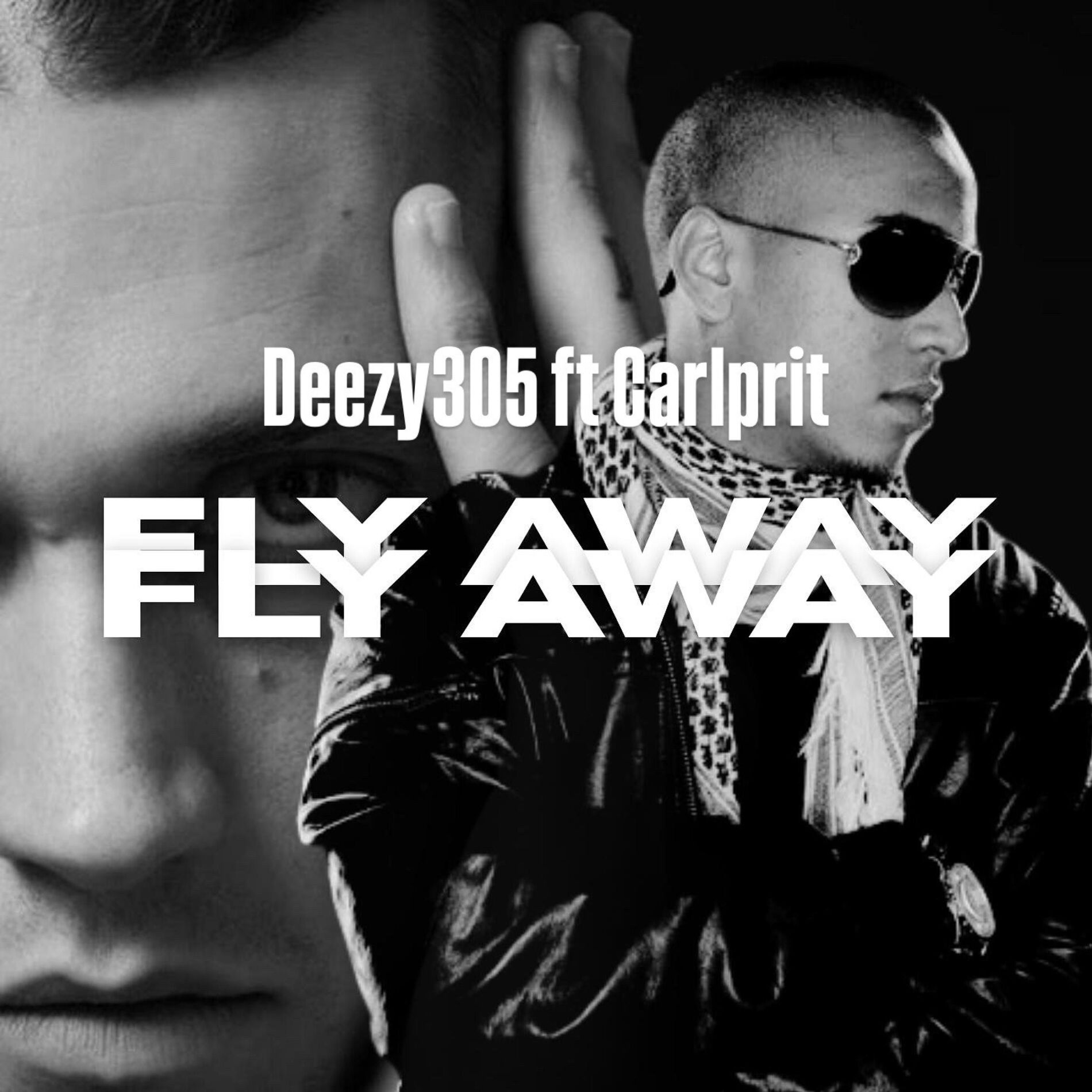 Album cover of Fly Away (feat. Carlprit)