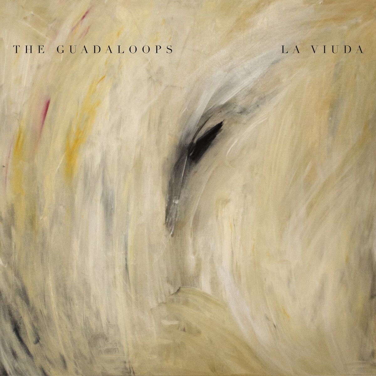 Album cover of La Viuda