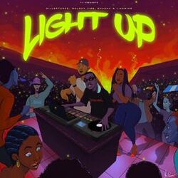 Cover of Light Up
