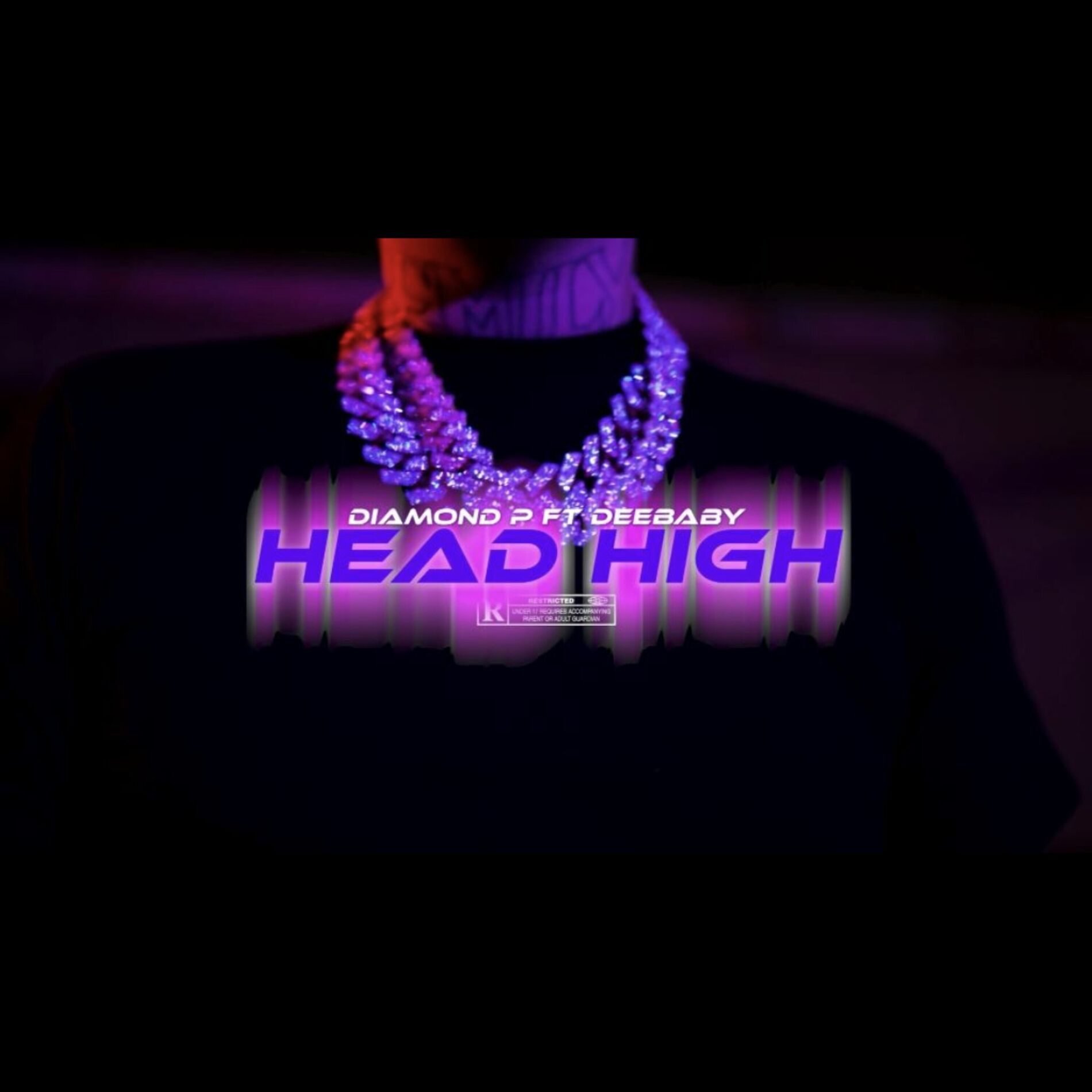 Album cover of Head High