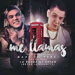 Cover of Me Llamas