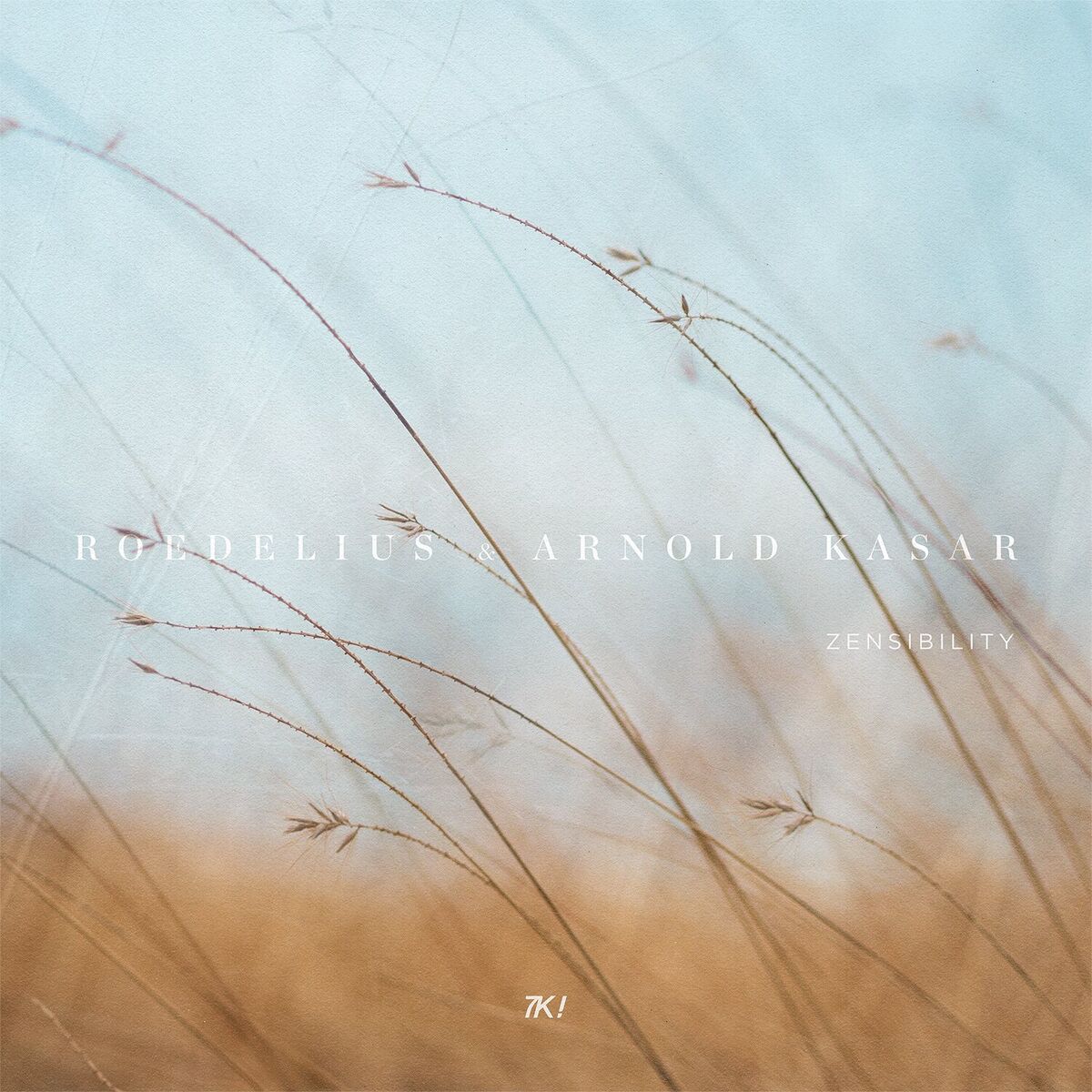 Album cover of Zensibility
