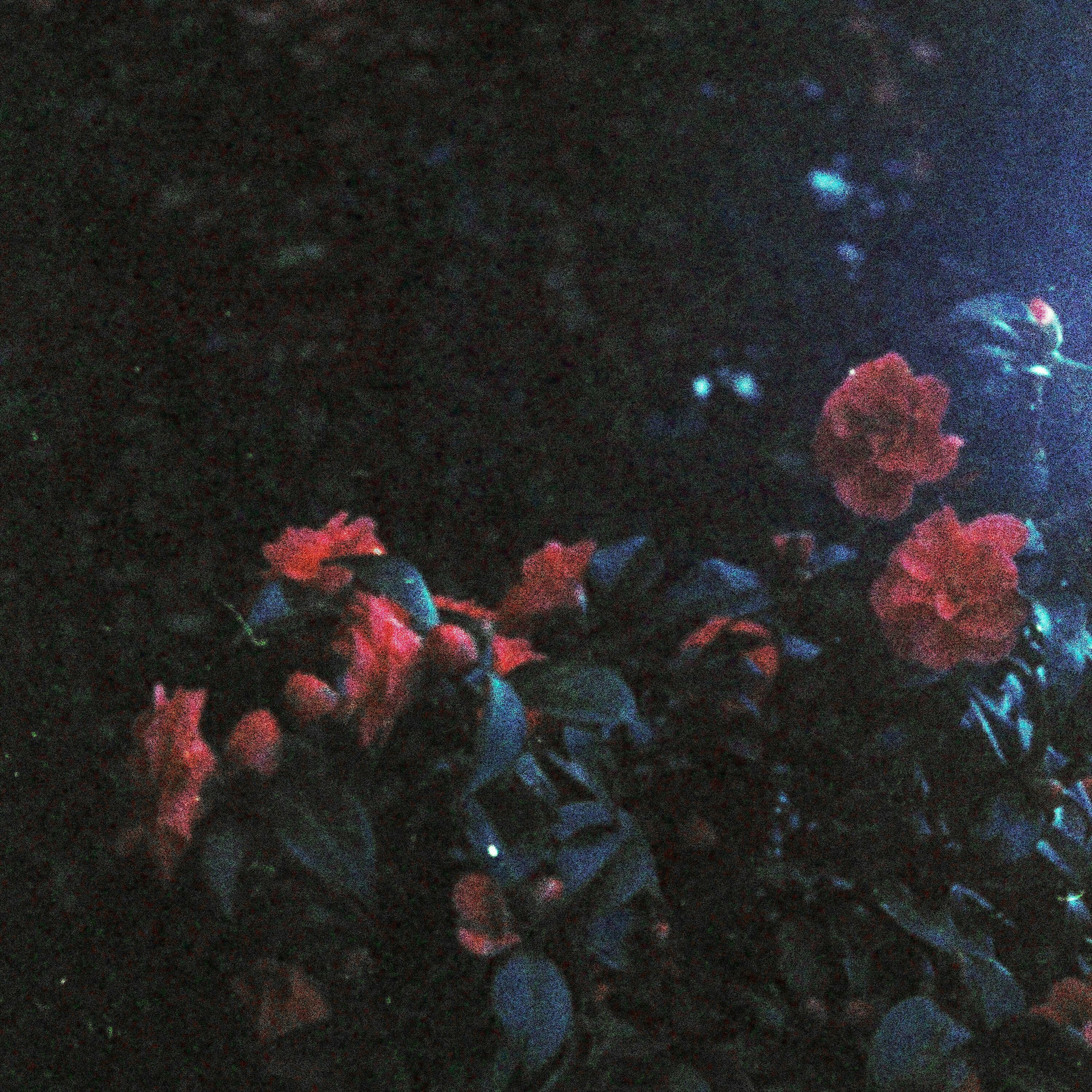 Album cover of may
