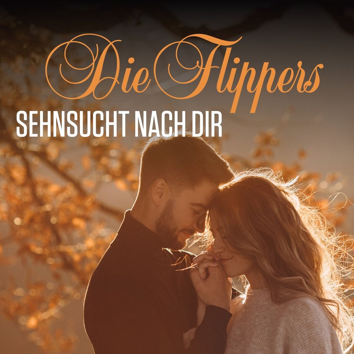 Album cover of Sehnsucht nach Dir