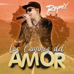 Cover of Los Caminos Del Amor