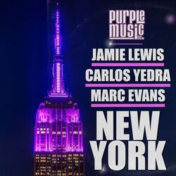 Cover of New York (In Da House Session Mix)