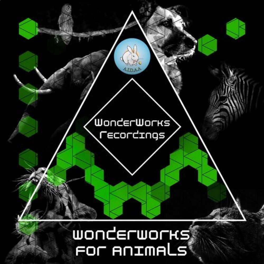 Picture of WonderWorks For Animals