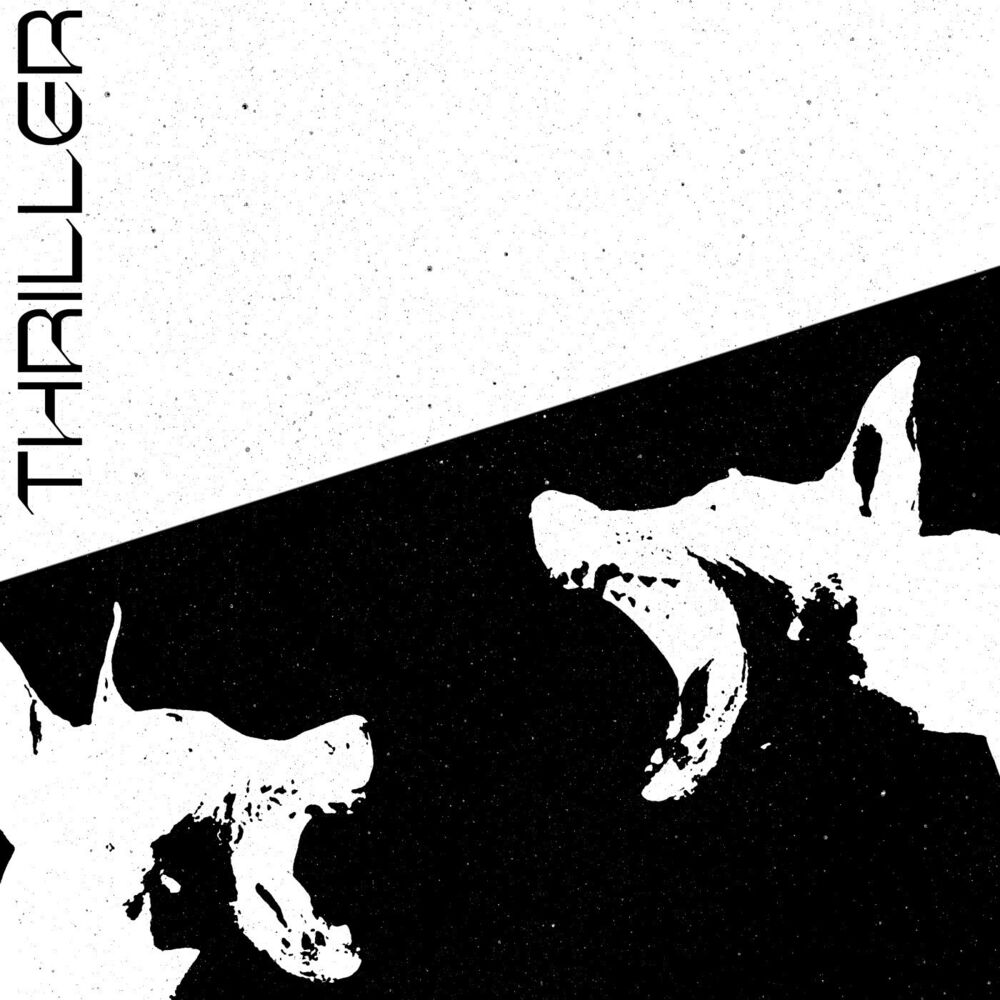 Picture of THRILLER
