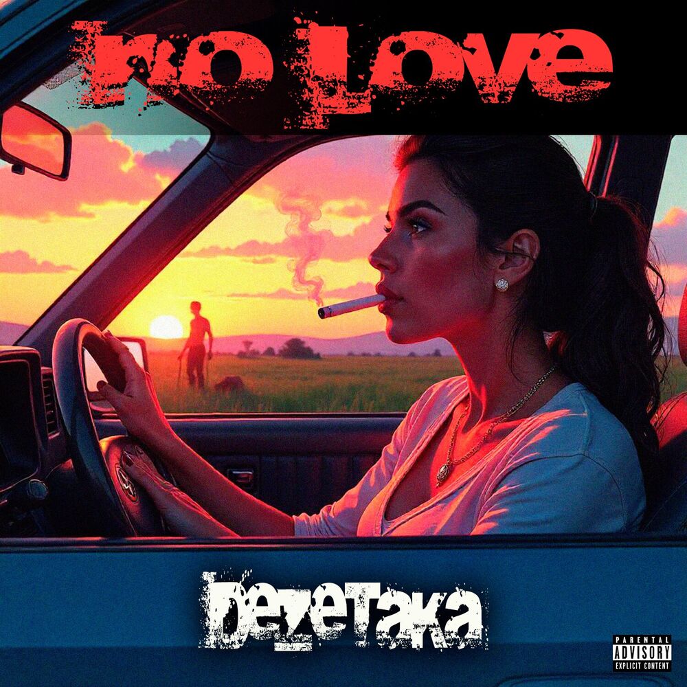Picture of No Love