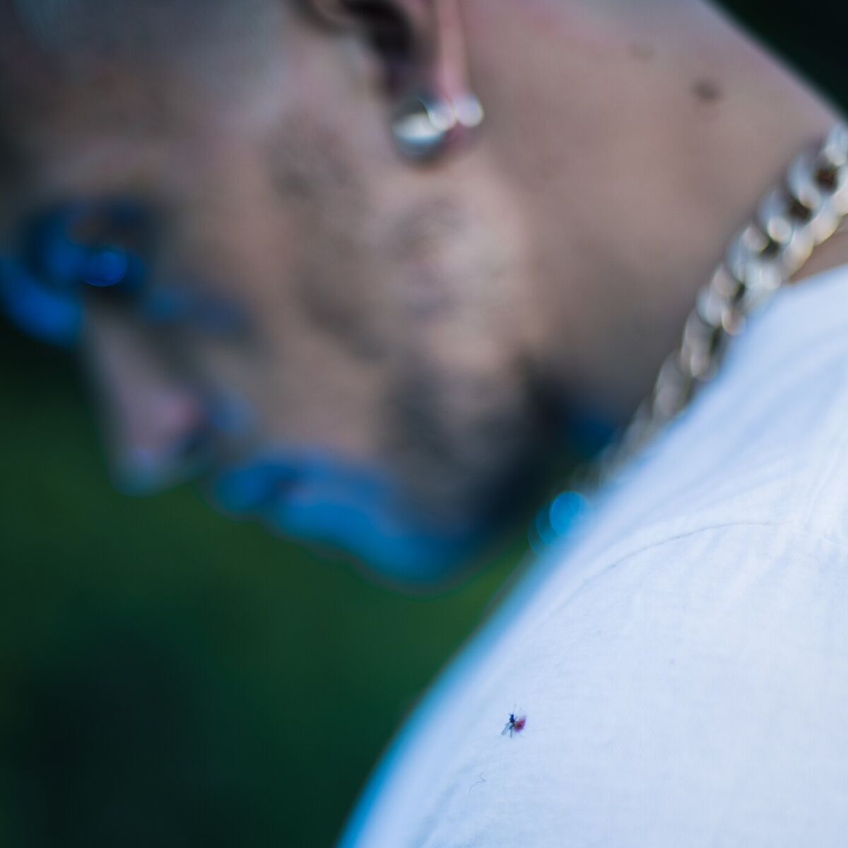 Album cover of IG BOY