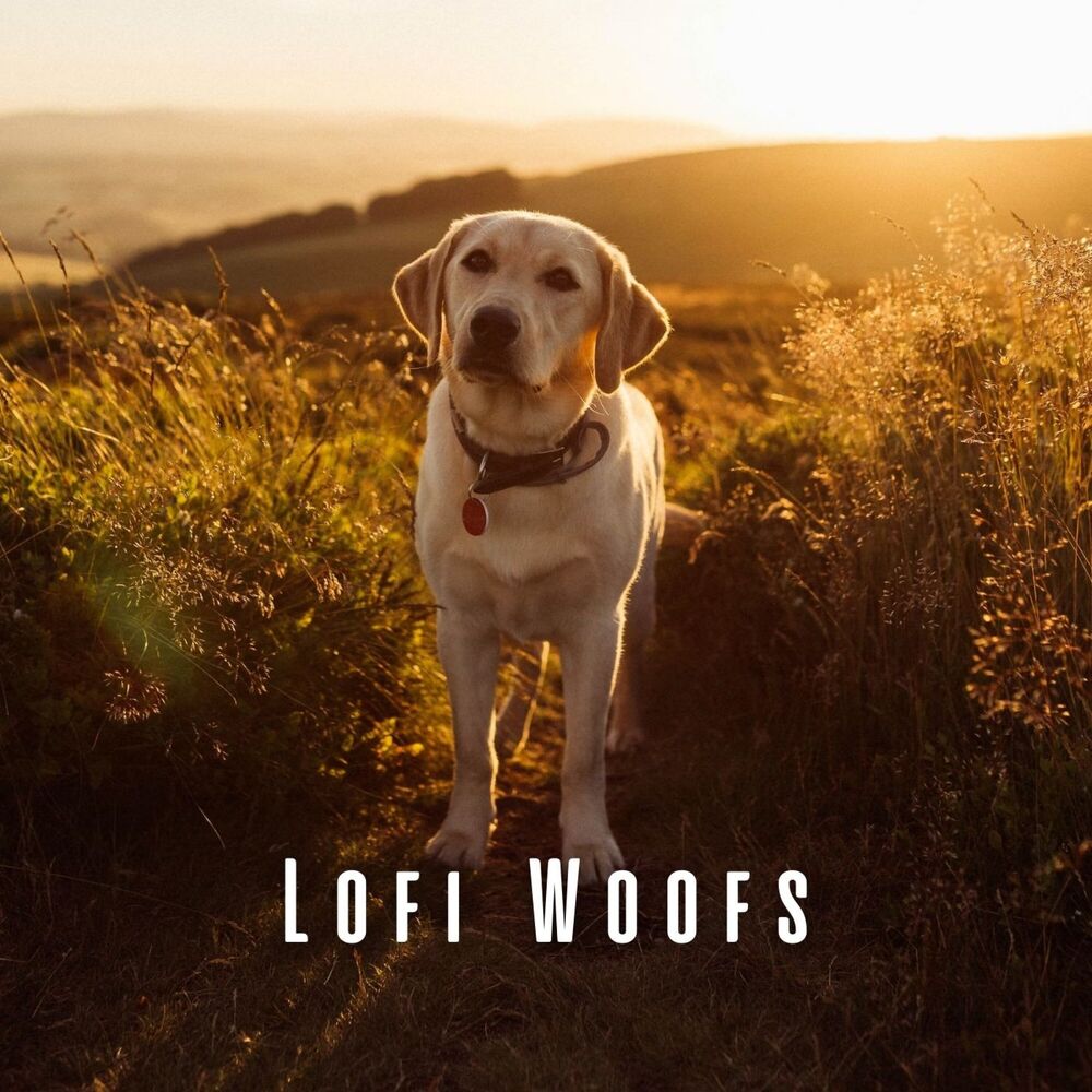 Picture of Lofi Woofs: Tranquil Ambient Sounds for Dog's Serenity