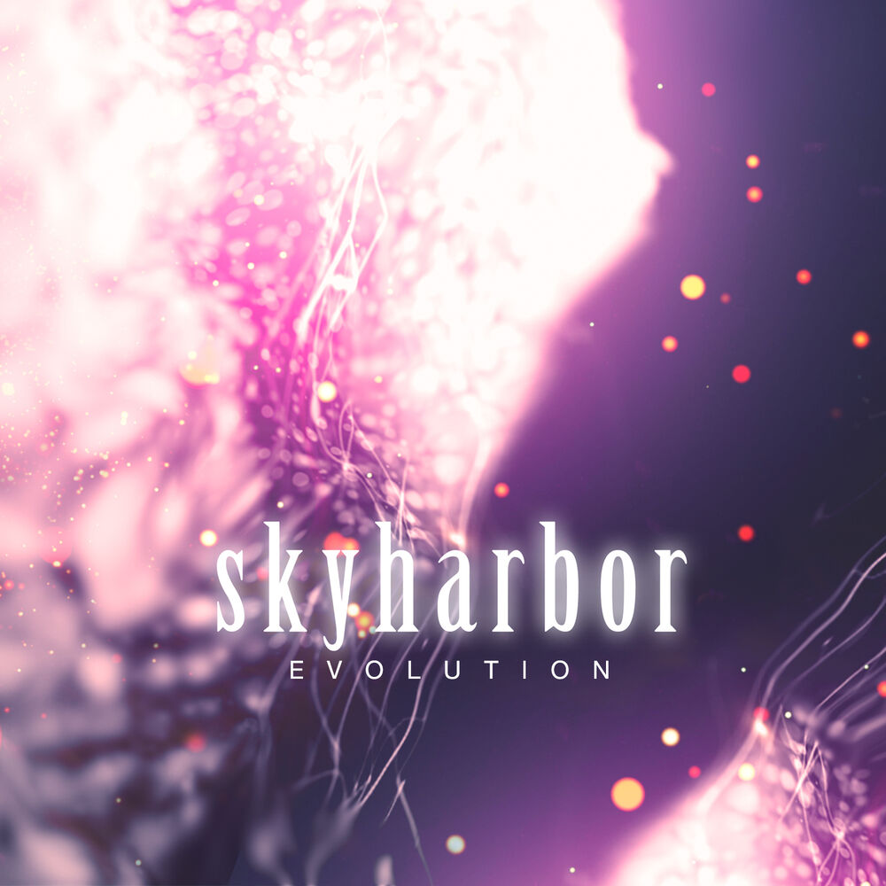 Picture of Evolution
