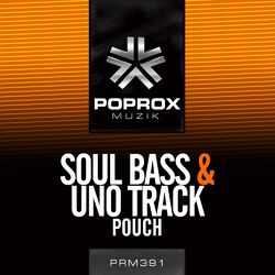Cover of Pouch
