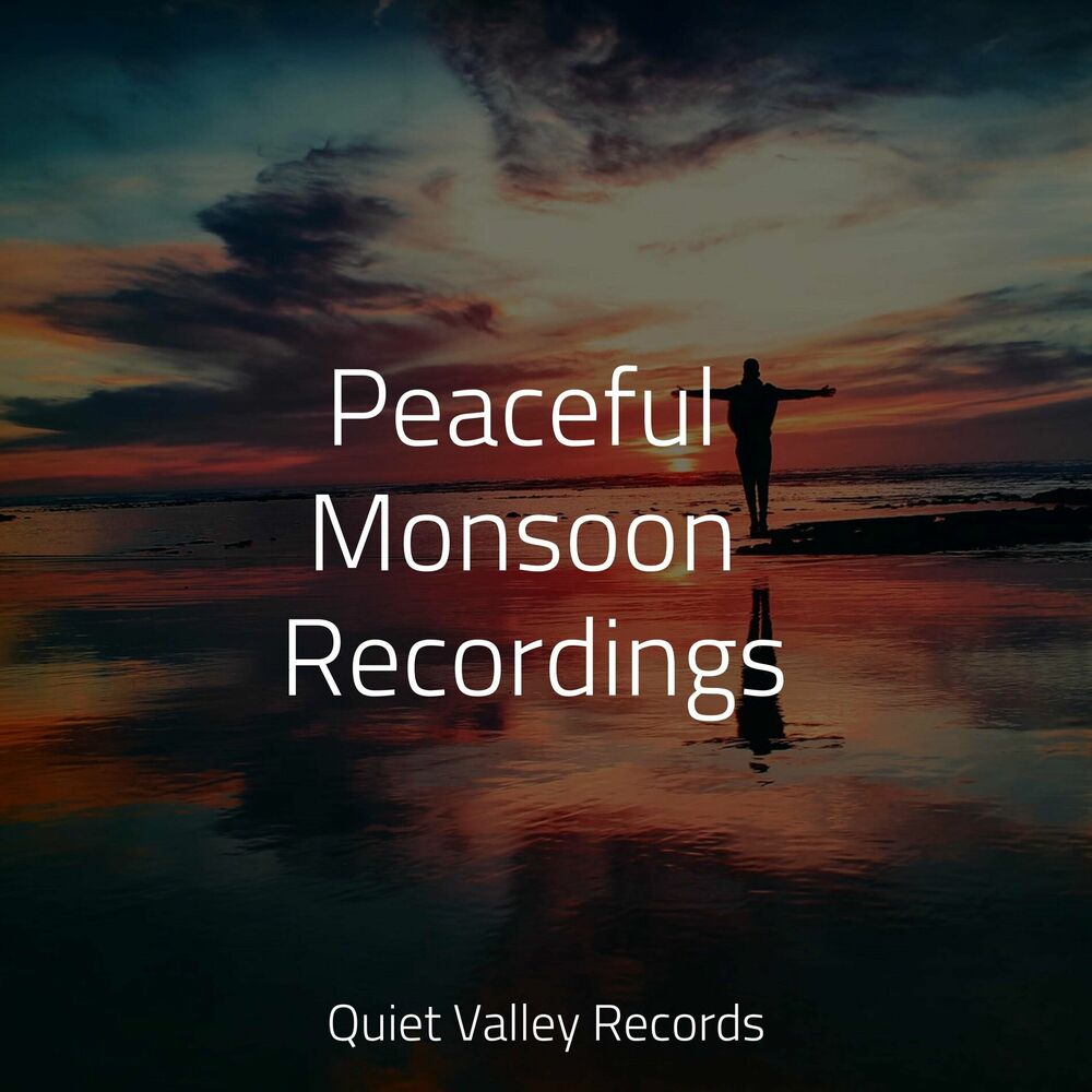Picture of Peaceful Monsoon Recordings