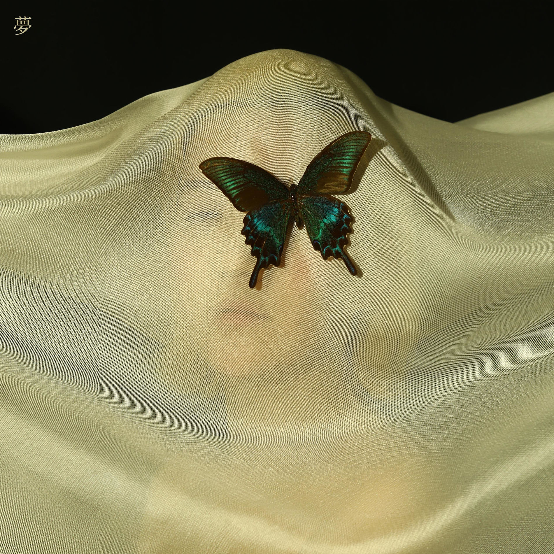 Album cover of Return