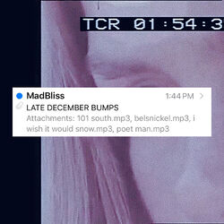 Cover of Late December Bumps
