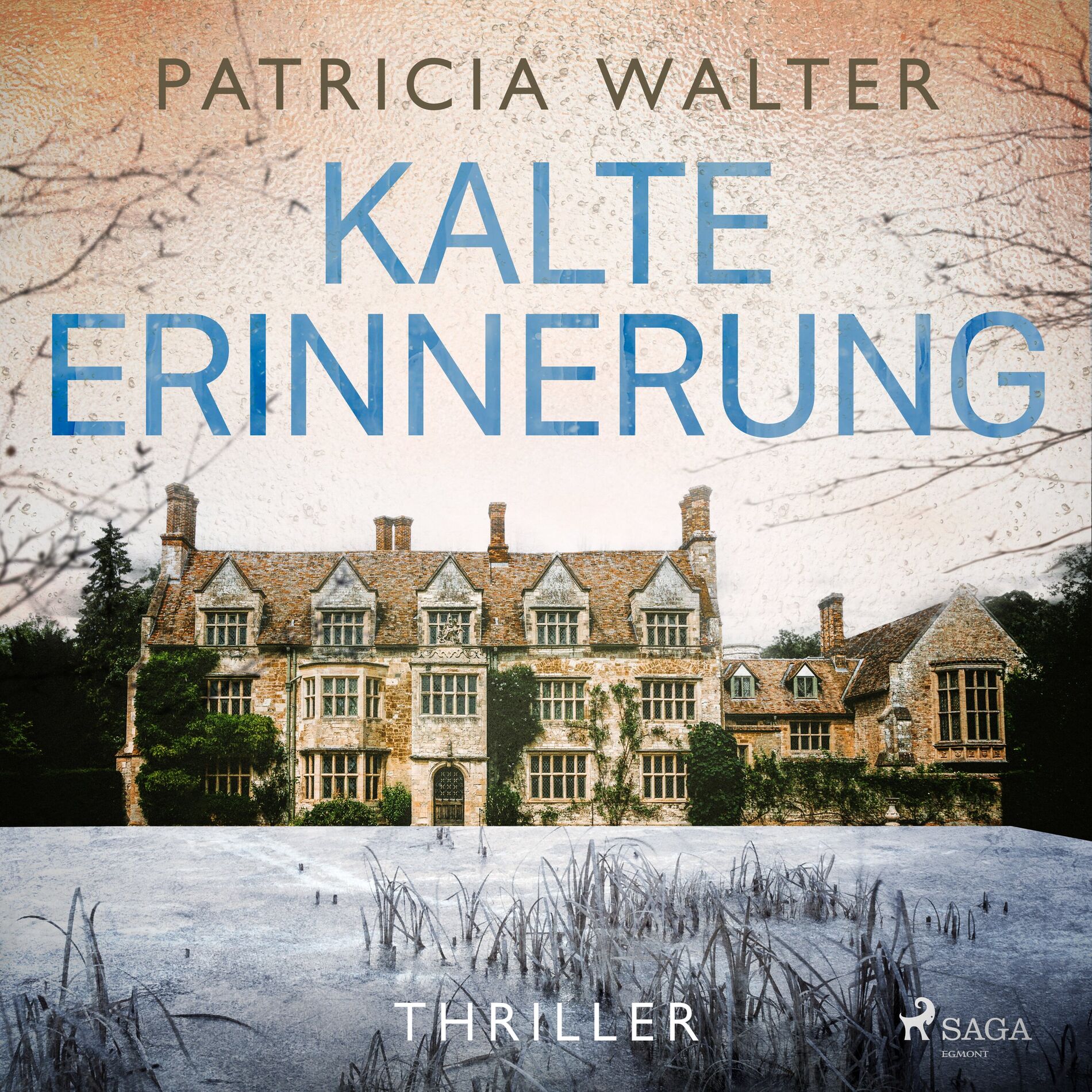 Album cover of Kalte Erinnerung (Nur wenn sie sich erinnert, wird sie überleben.)