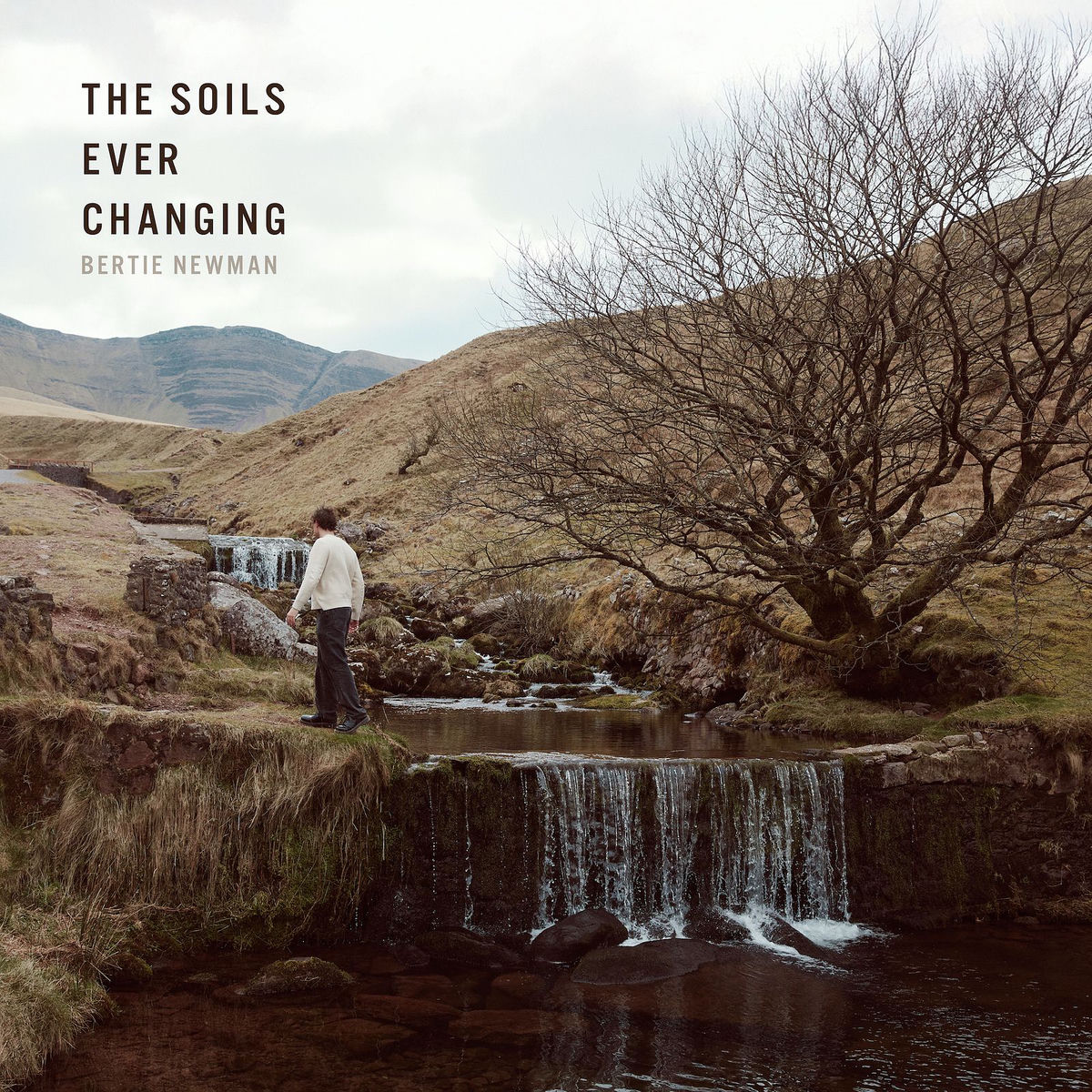 Album cover of The Soils Ever Changing