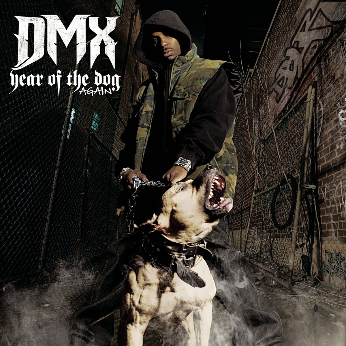 Album cover of Year Of The Dog...Again