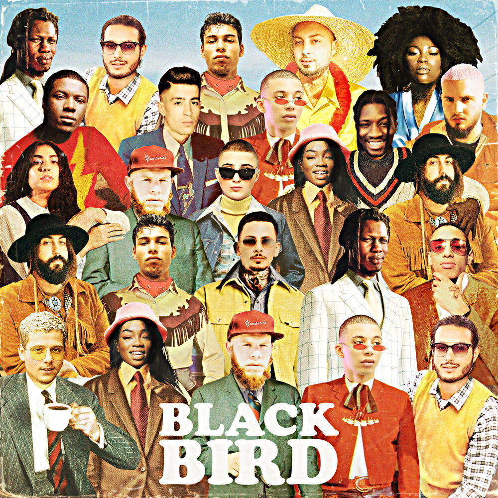 Picture of Blackbird