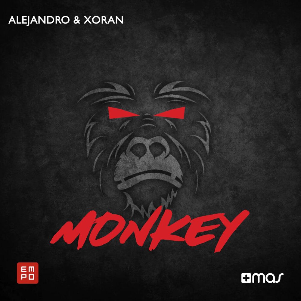 Picture of Monkey